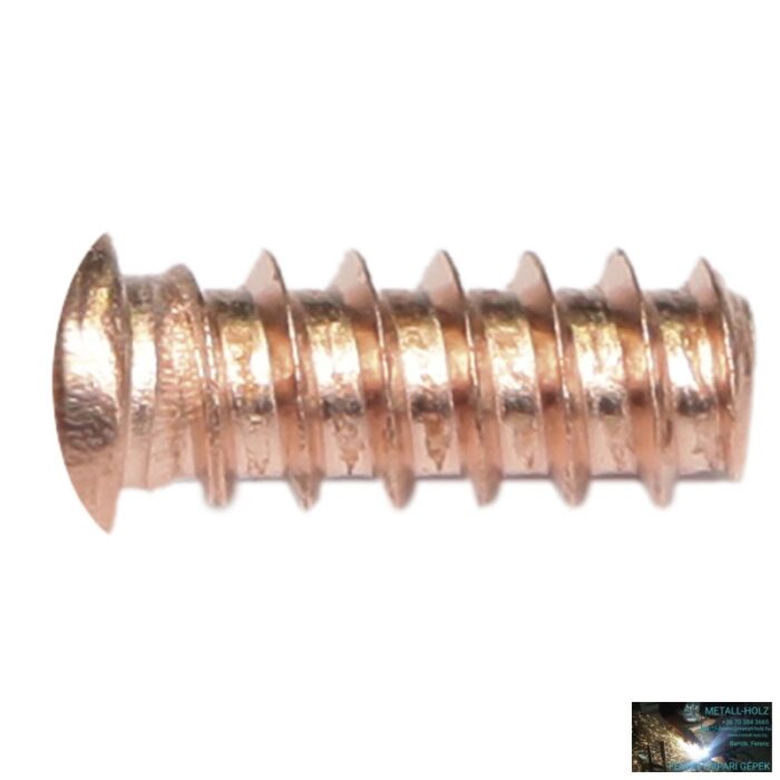 CSAVAR - ÖNMETSZŐ M5X12 100DB/CSOMAG - Image 1