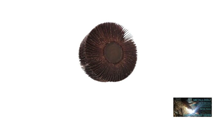 80x40x6 A 80 RLGsaturnus FG FG csapos lamelláskorong egész lapokból Fast Grinder 12271620 - Image 1