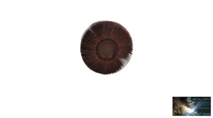 60x40x6 A180 RLGsaturnus FG FG csapos lamelláskorong egész lapokból Fast Grinder 41020044